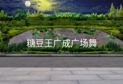 糖豆王广成广场舞