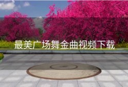 最美广场舞金曲视频下载