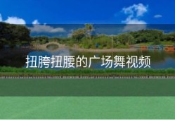扭胯扭腰的广场舞视频
