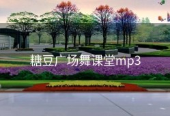糖豆广场舞课堂mp3