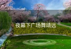 夜幕下广场舞靖远
