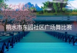 响水市东园社区广场舞比赛