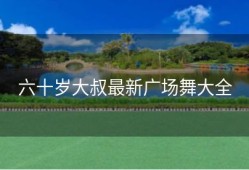 六十岁大叔最新广场舞大全
