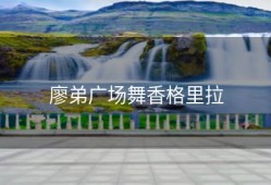 廖弟广场舞香格里拉