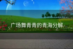 广场舞青青的青海分解