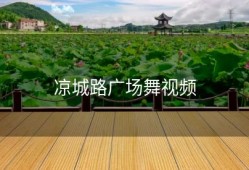 凉城路广场舞视频