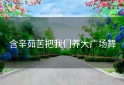 含辛茹苦把我们养大广场舞