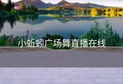 小蚯蚓广场舞直播在线