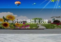 欣悦广场舞黄玫瑰