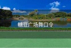 糖豆广场舞口令