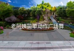 老阿姨简单动作广场舞