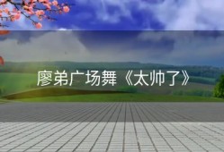 廖弟广场舞《太帅了》