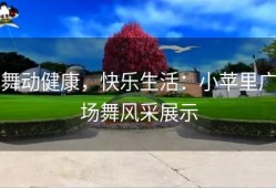 舞动健康，快乐生活：小苹里广场舞风采展示