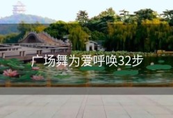 广场舞为爱呼唤32步
