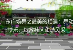 广东广场舞之最美的相遇：舞动快乐，绽放社区和谐风采