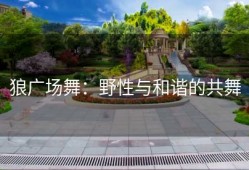 狼广场舞：野性与和谐的共舞