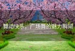 舞动快乐，广场舞的魅力瞬间