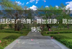 扭起来广场舞：舞出健康，跳出快乐