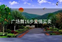 广场舞16步爱情买卖