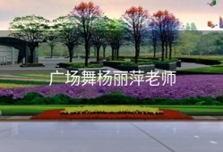 广场舞杨丽萍老师