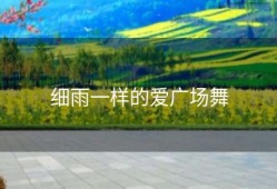 细雨一样的爱广场舞