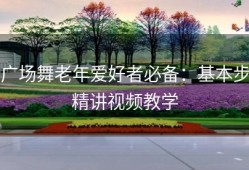 广场舞老年爱好者必备：基本步精讲视频教学
