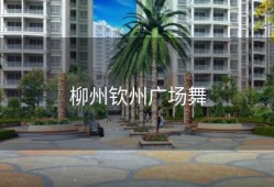 柳州钦州广场舞