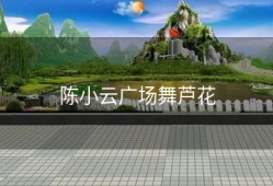 陈小云广场舞芦花