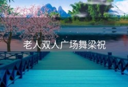 老人双人广场舞梁祝