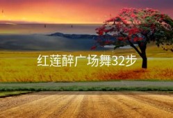 红莲醉广场舞32步