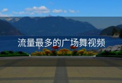 流量最多的广场舞视频