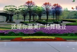 还是你最美广场舞糖豆
