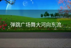 弹跳广场舞大河向东流