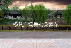 杨艺广场舞七朵莲花