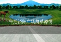 午后骄阳广场舞草原情