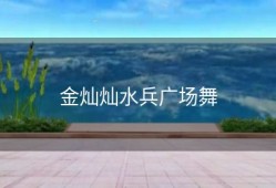 金灿灿水兵广场舞