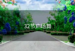32节广场舞