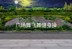 广场舞飞舞健身操