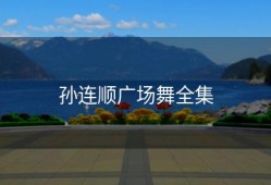 孙连顺广场舞全集