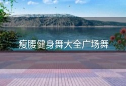 瘦腰健身舞大全广场舞