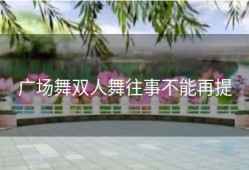 广场舞双人舞往事不能再提