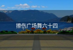 擦伤广场舞六十四