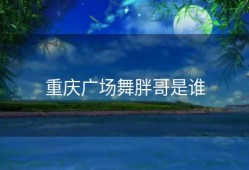 重庆广场舞胖哥是谁