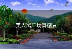 美人窝广场舞糖豆