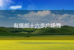 有情郎十六步广场舞