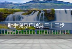 新手健身广场舞三十二步