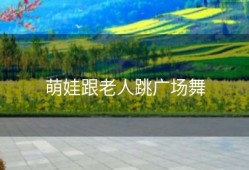 萌娃跟老人跳广场舞