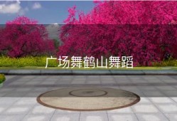 广场舞鹤山舞蹈