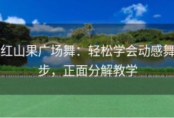 红山果广场舞：轻松学会动感舞步，正面分解教学