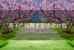 燕子广场舞老歌情歌对唱